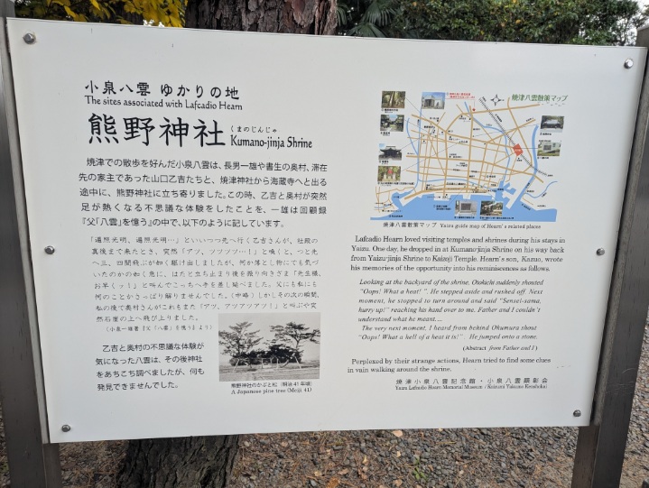 PXL_20251213_012212665.MP